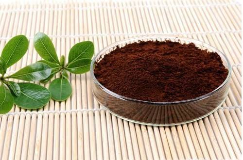 灵芝孢子粉的功效与作用