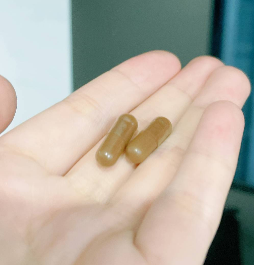 什么样的灵芝孢子粉好？看看你真的会选择灵芝孢子粉吗？
