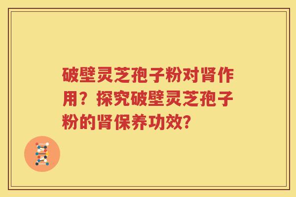 破壁灵芝孢子粉对肾作用？探究破壁灵芝孢子粉的肾保养功效？
