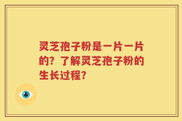灵芝孢子粉是一片一片的？了解灵芝孢子粉的生长过程？
