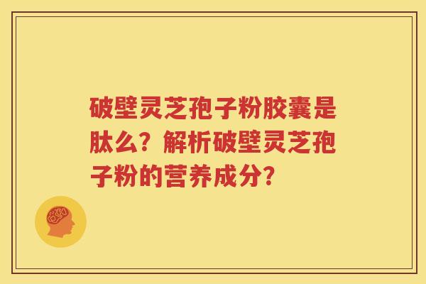 破壁灵芝孢子粉胶囊是肽么？解析破壁灵芝孢子粉的营养成分？