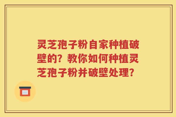 灵芝孢子粉自家种植破壁的？教你如何种植灵芝孢子粉并破壁处理？