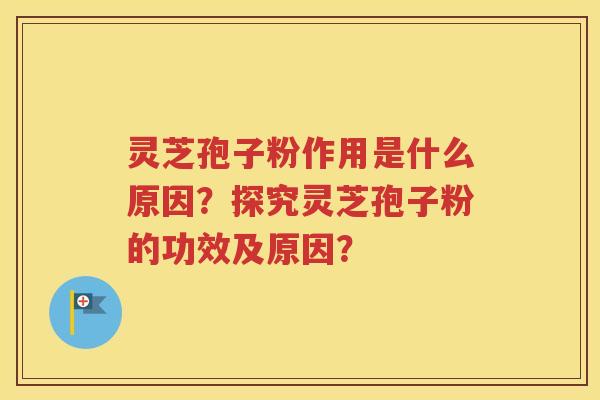 灵芝孢子粉作用是什么原因？探究灵芝孢子粉的功效及原因？