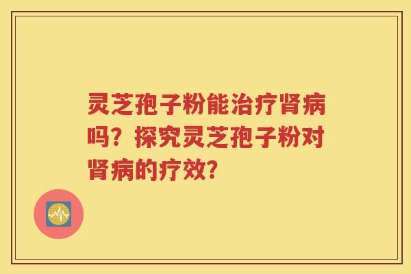 灵芝孢子粉能治疗肾病吗？探究灵芝孢子粉对肾病的疗效？