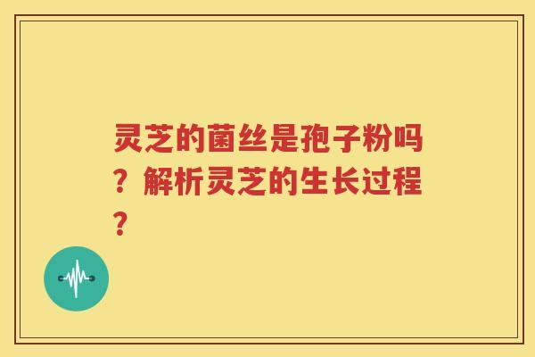 灵芝的菌丝是孢子粉吗？解析灵芝的生长过程？