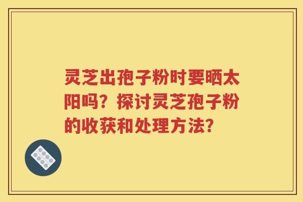 灵芝出孢子粉时要晒太阳吗？探讨灵芝孢子粉的收获和处理方法？