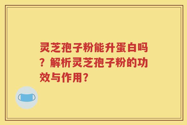 灵芝孢子粉能升蛋白吗？解析灵芝孢子粉的功效与作用？