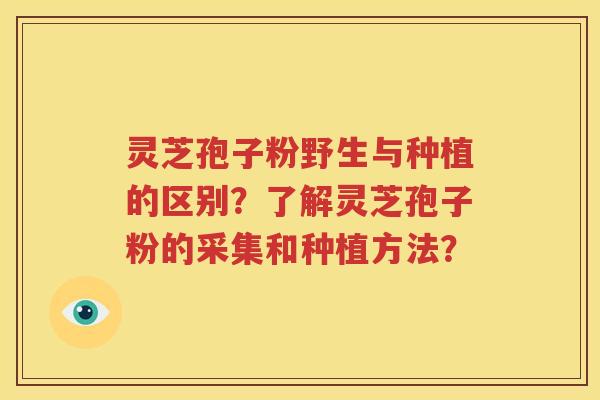灵芝孢子粉野生与种植的区别？了解灵芝孢子粉的采集和种植方法？