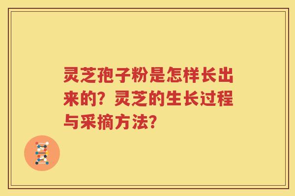 灵芝孢子粉是怎样长出来的？灵芝的生长过程与采摘方法？