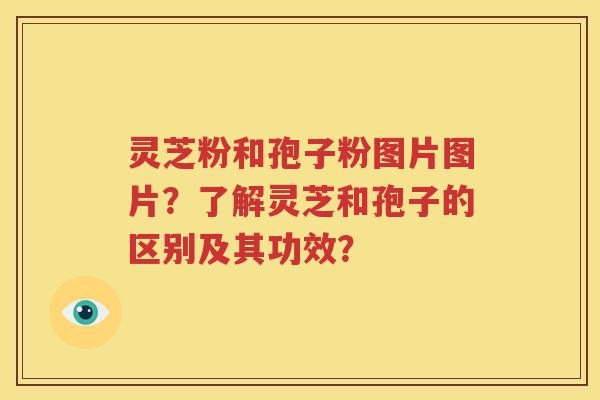 灵芝粉和孢子粉图片图片？了解灵芝和孢子的区别及其功效？