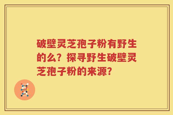 破壁灵芝孢子粉有野生的么？探寻野生破壁灵芝孢子粉的来源？