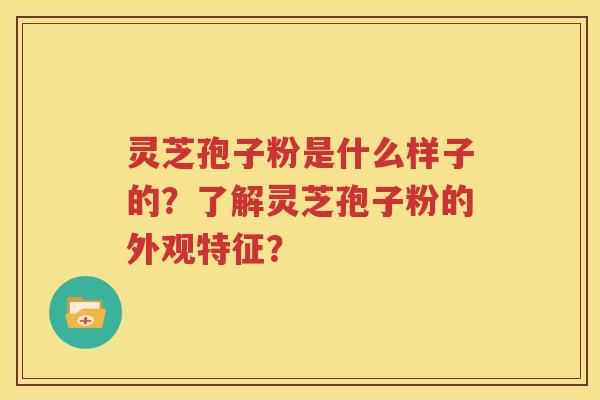 灵芝孢子粉是什么样子的？了解灵芝孢子粉的外观特征？