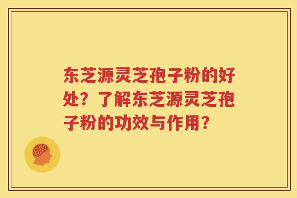 东芝源灵芝孢子粉的好处？了解东芝源灵芝孢子粉的功效与作用？