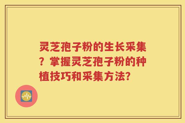 灵芝孢子粉的生长采集？掌握灵芝孢子粉的种植技巧和采集方法？