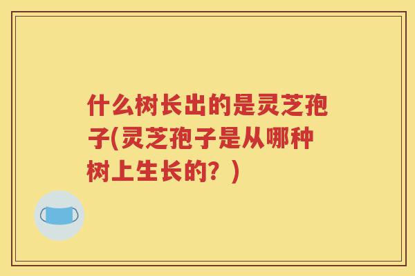 什么树长出的是灵芝孢子(灵芝孢子是从哪种树上生长的？)