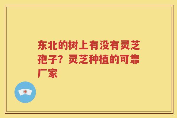 东北的树上有没有灵芝孢子？灵芝种植的可靠厂家