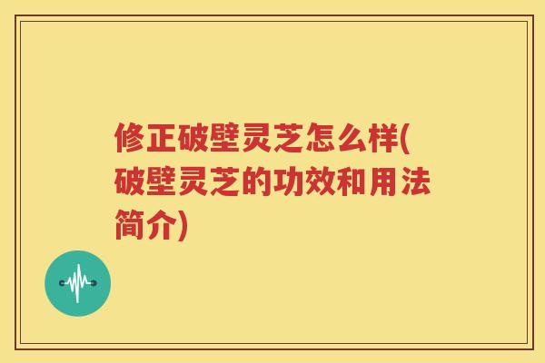 修正破壁灵芝怎么样(破壁灵芝的功效和用法简介)