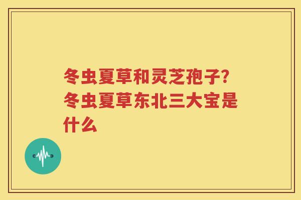 冬虫夏草和灵芝孢子？冬虫夏草东北三大宝是什么