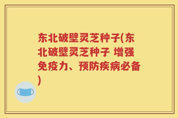 东北破壁灵芝种子(东北破壁灵芝种子 增强免疫力、预防疾病必备)