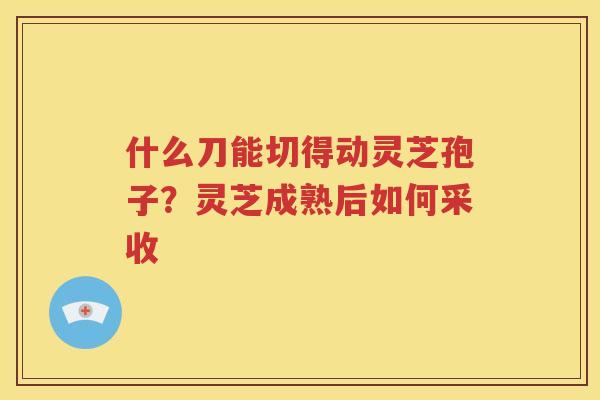 什么刀能切得动灵芝孢子？灵芝成熟后如何采收
