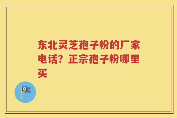 东北灵芝孢子粉的厂家电话？正宗孢子粉哪里买