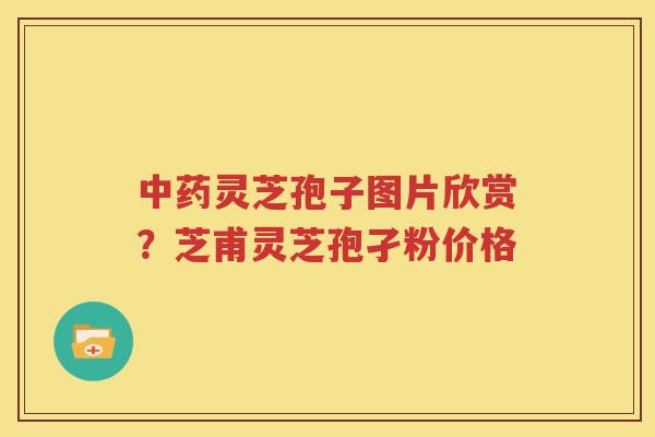 中药灵芝孢子图片欣赏？芝甫灵芝孢孑粉价格