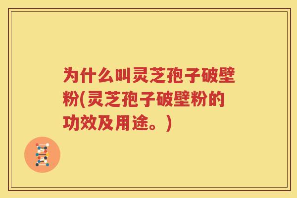 为什么叫灵芝孢子破壁粉(灵芝孢子破壁粉的功效及用途。)
