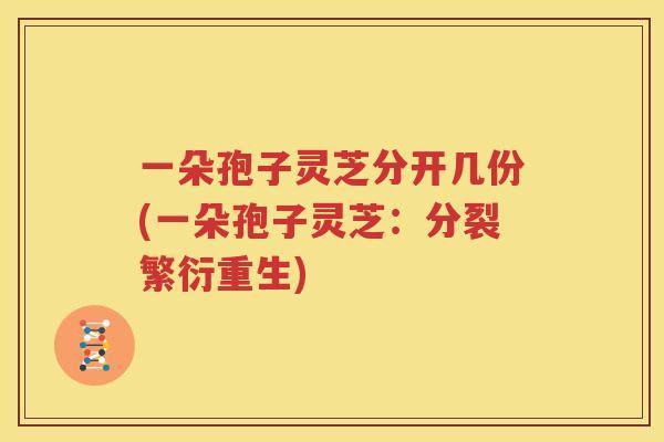 一朵孢子灵芝分开几份(一朵孢子灵芝：分裂繁衍重生)