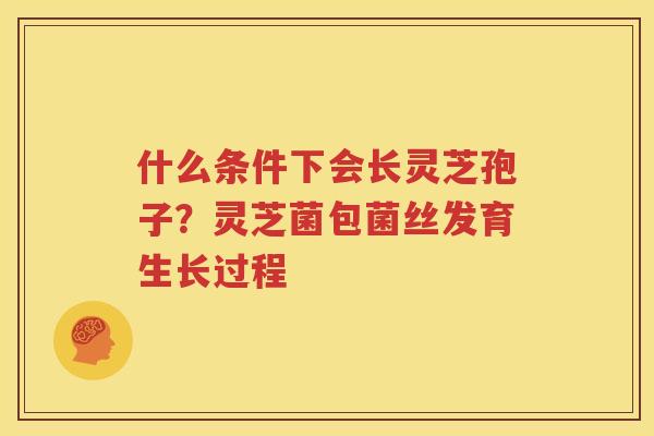 什么条件下会长灵芝孢子？灵芝菌包菌丝发育生长过程