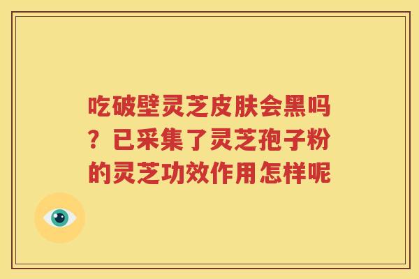 吃破壁灵芝皮肤会黑吗？已采集了灵芝孢子粉的灵芝功效作用怎样呢