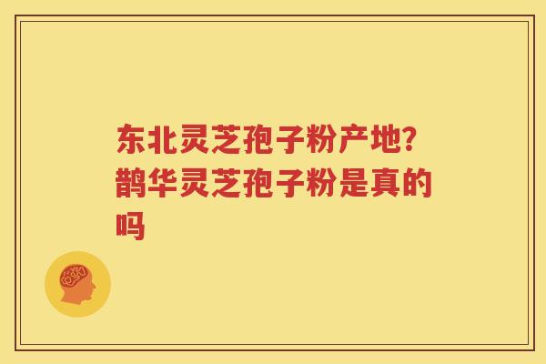 东北灵芝孢子粉产地？鹊华灵芝孢子粉是真的吗