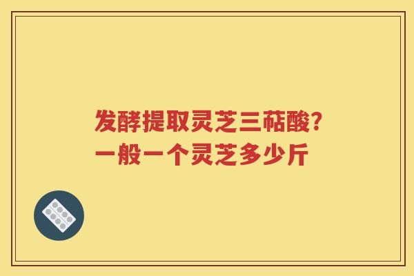 发酵提取灵芝三萜酸？一般一个灵芝多少斤