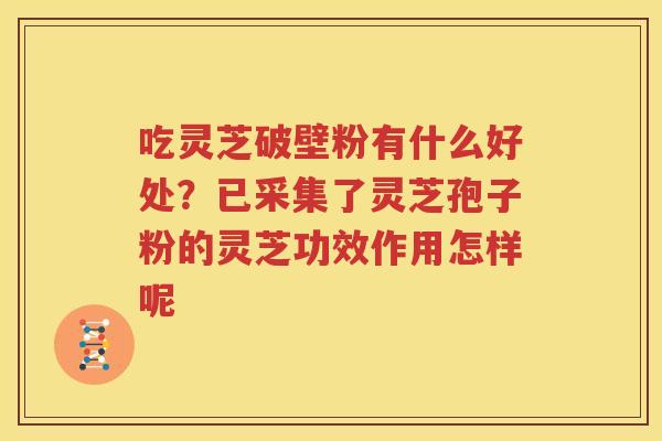 吃灵芝破壁粉有什么好处？已采集了灵芝孢子粉的灵芝功效作用怎样呢