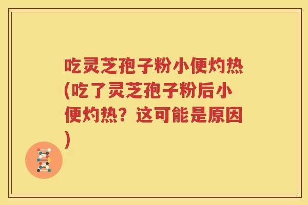 吃灵芝孢子粉小便灼热(吃了灵芝孢子粉后小便灼热？这可能是原因)