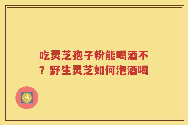 吃灵芝孢子粉能喝酒不？野生灵芝如何泡酒喝