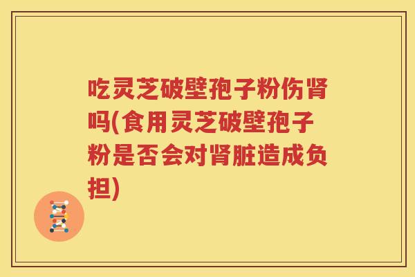 吃灵芝破壁孢子粉伤肾吗(食用灵芝破壁孢子粉是否会对肾脏造成负担)
