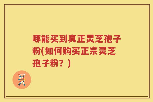 哪能买到真正灵芝孢子粉(如何购买正宗灵芝孢子粉？)