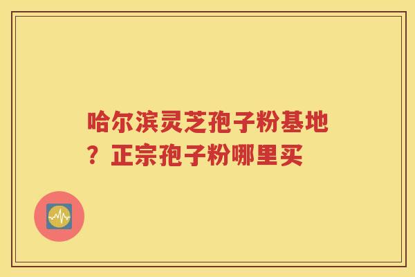 哈尔滨灵芝孢子粉基地？正宗孢子粉哪里买