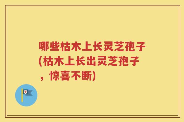 哪些枯木上长灵芝孢子(枯木上长出灵芝孢子，惊喜不断)