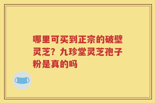 哪里可买到正宗的破壁灵芝？九珍堂灵芝孢子粉是真的吗