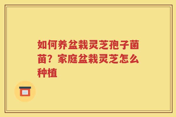 如何养盆栽灵芝孢子菌苗？家庭盆栽灵芝怎么种植