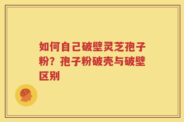 如何自己破壁灵芝孢子粉？孢子粉破壳与破壁区别
