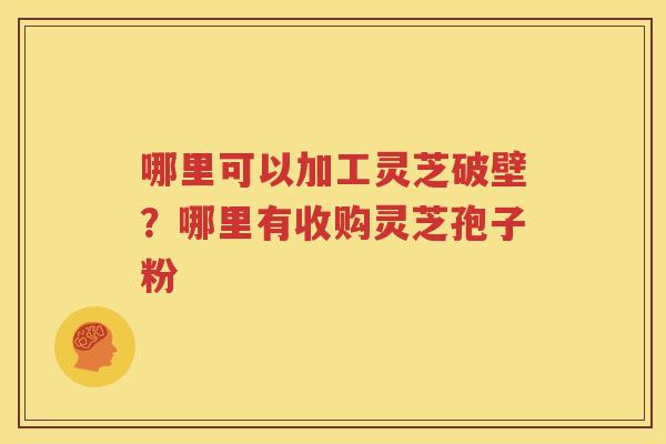 哪里可以加工灵芝破壁？哪里有收购灵芝孢子粉