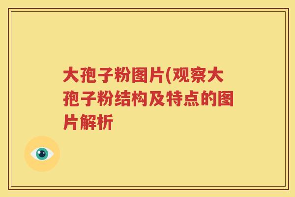 大孢子粉图片(观察大孢子粉结构及特点的图片解析