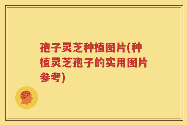 孢子灵芝种植图片(种植灵芝孢子的实用图片参考)