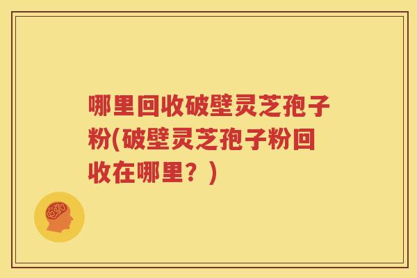 哪里回收破壁灵芝孢子粉(破壁灵芝孢子粉回收在哪里？)
