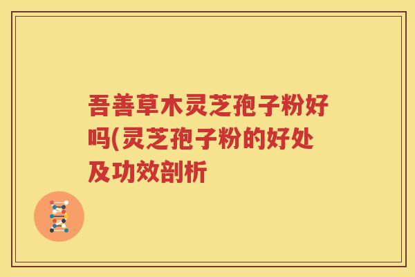 吾善草木灵芝孢子粉好吗(灵芝孢子粉的好处及功效剖析