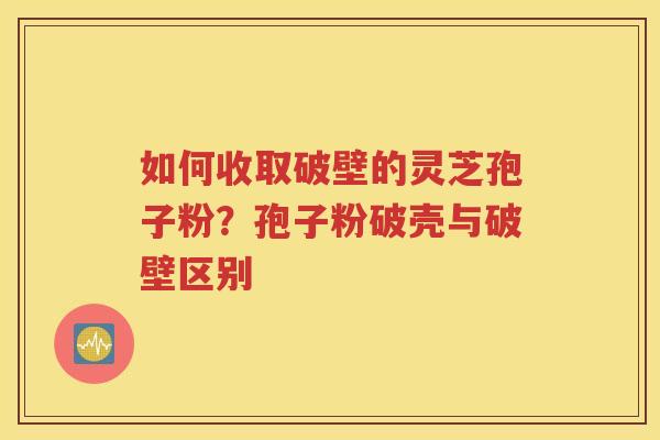 如何收取破壁的灵芝孢子粉？孢子粉破壳与破壁区别