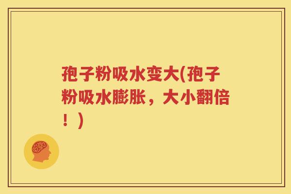 孢子粉吸水变大(孢子粉吸水膨胀，大小翻倍！)