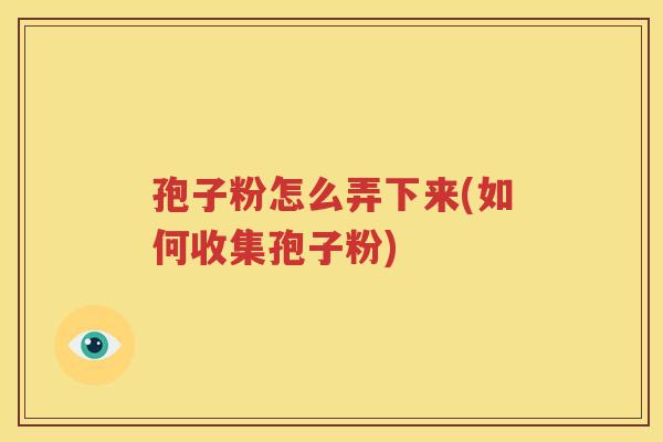 孢子粉怎么弄下来(如何收集孢子粉)